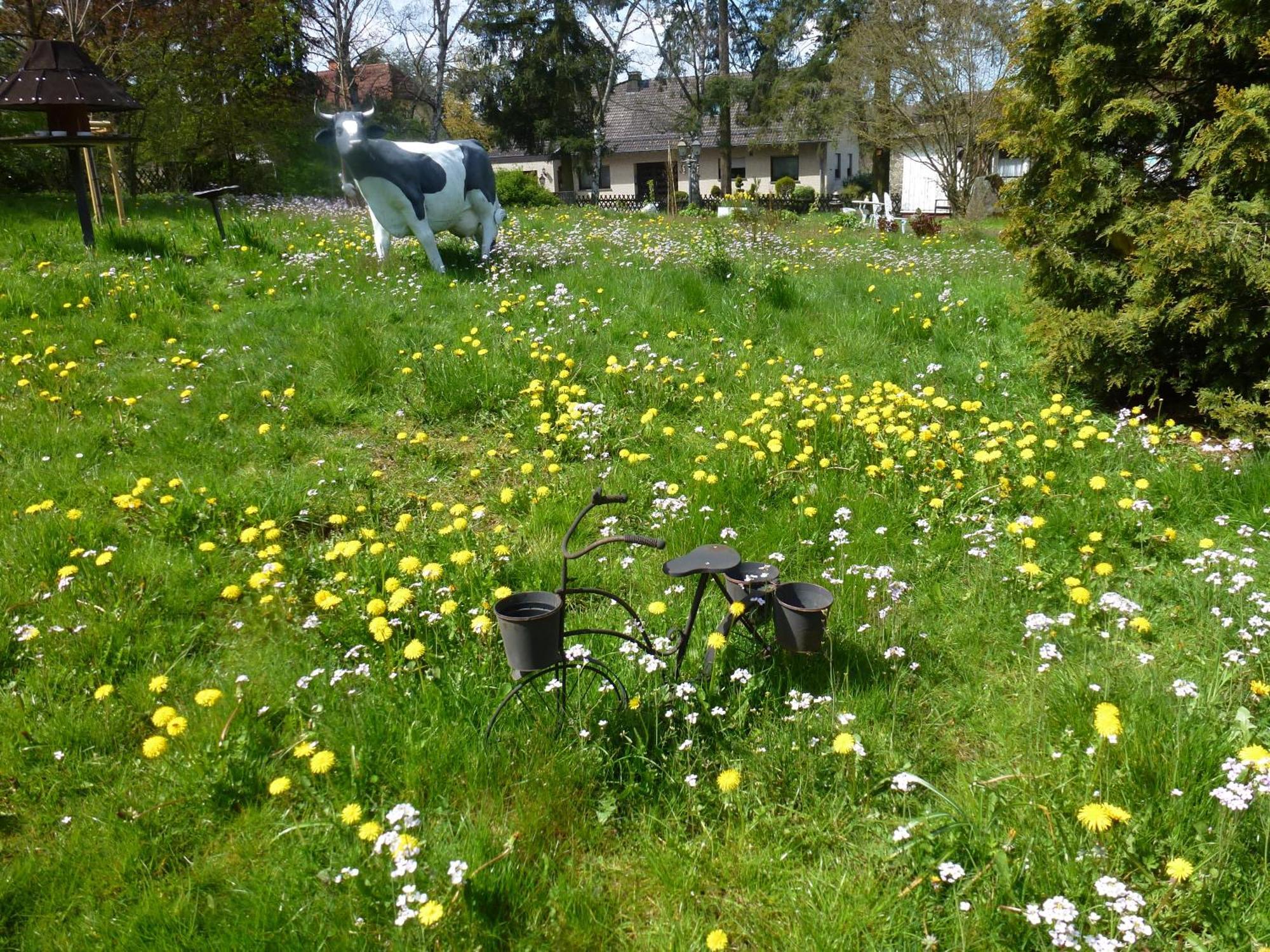 Land Des Friedens In Nettersheim / Eifel Apartment Ngoại thất bức ảnh