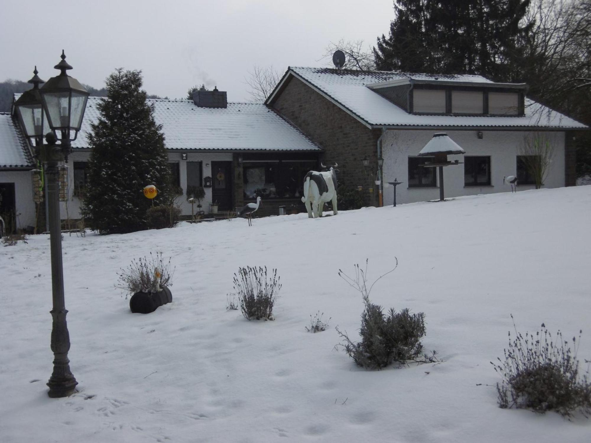 Land Des Friedens In Nettersheim / Eifel Apartment Ngoại thất bức ảnh