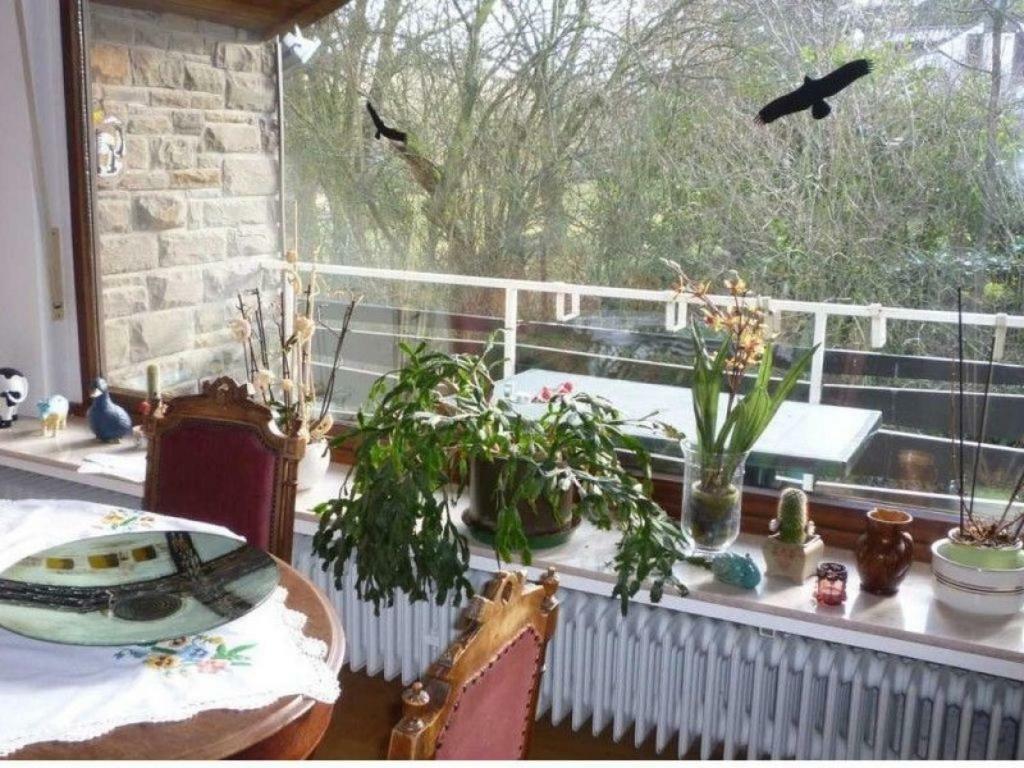 Land Des Friedens In Nettersheim / Eifel Apartment Ngoại thất bức ảnh